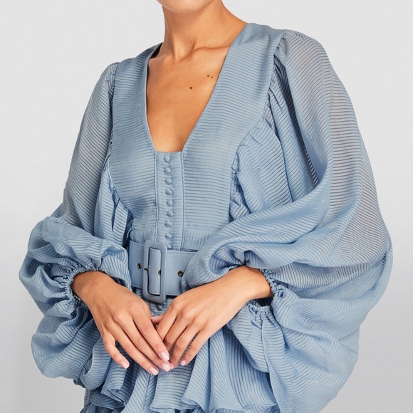 Shona Joy Charlotte Mini Dress - Picture 4 of 4